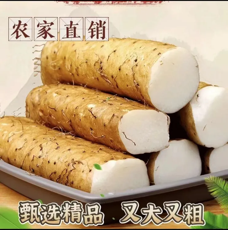 2024年新鲜山东山药