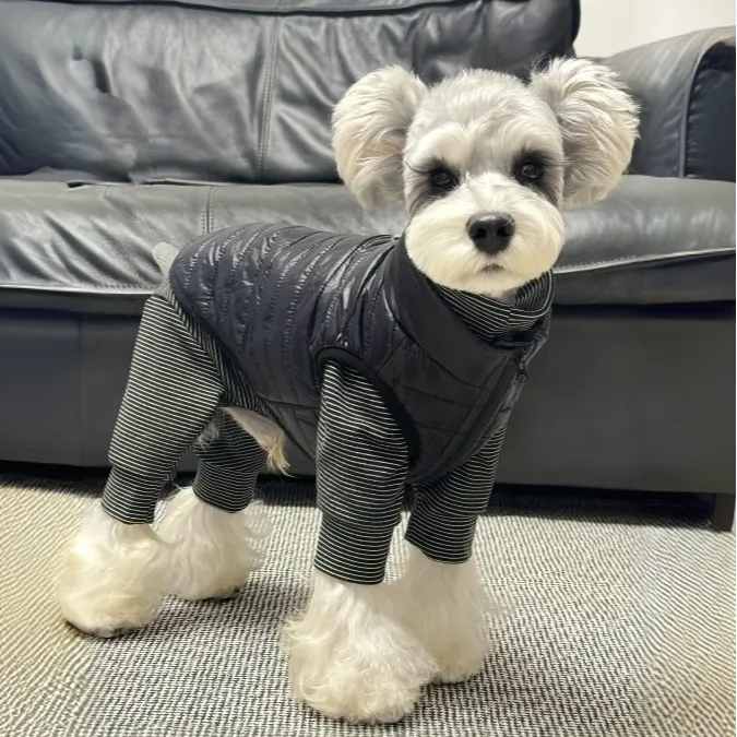 BORORO狗狗衣服冬季保暖雪纳瑞泰迪比熊马甲狗狗棉衣宠物衣服