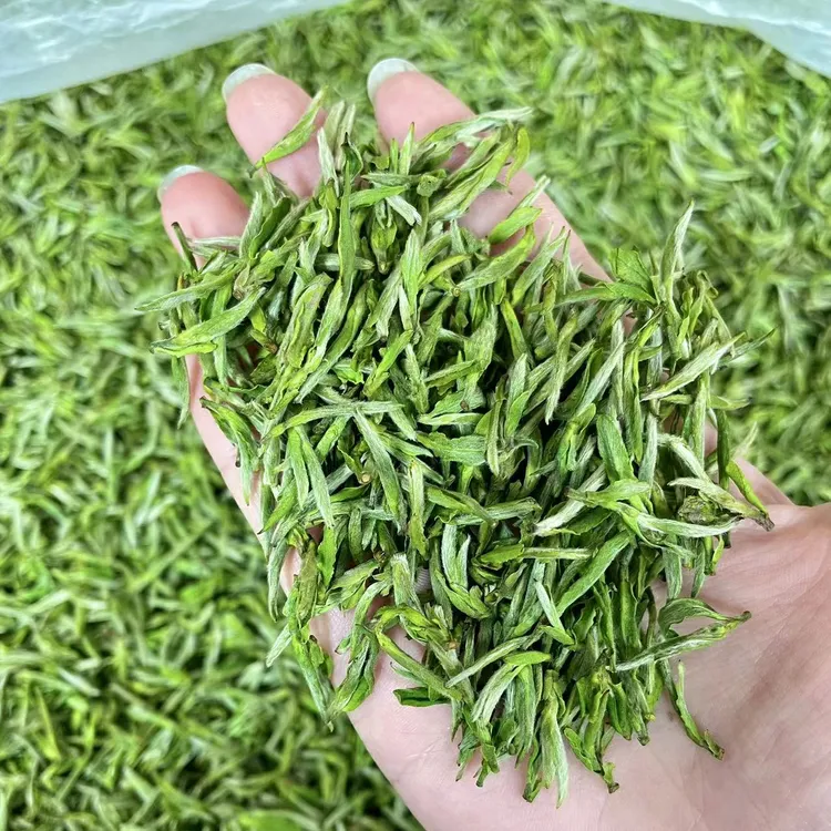 2024年 新茶 黄山头采嫩芽毛峰  头春头采毛峰 绿茶