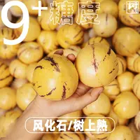 【9个+糖度】正宗云南石林人参果人生圆果黄肉产地直发应当季水果
