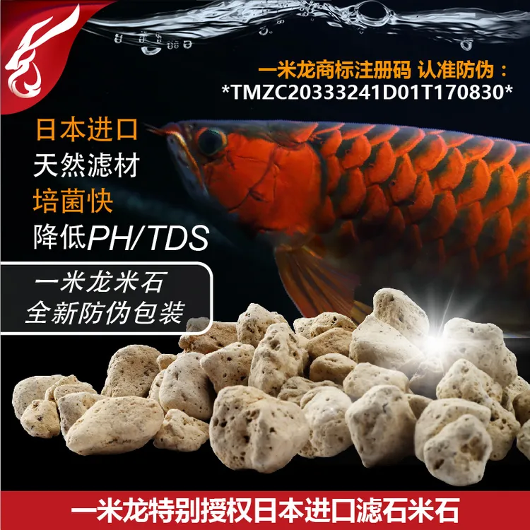 一米龙米石滤石一米龙特别授权日本进口特殊浮石龙鱼工坊水族滤材