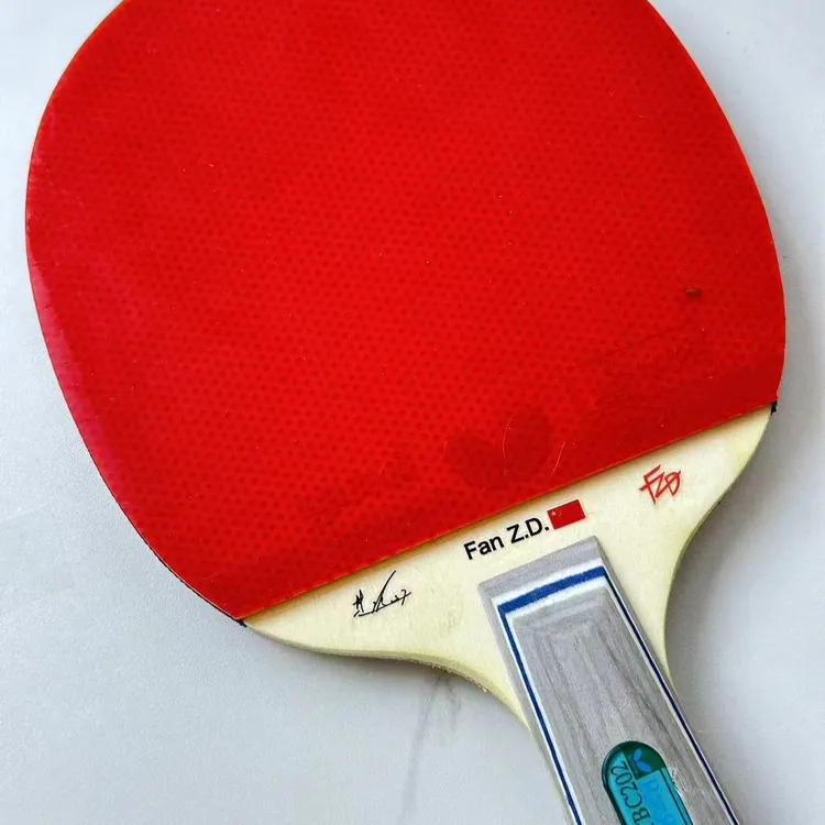 双11乒乓球水标贴樊振东孙颖莎马龙蝴蝶纪念便宜许昕专用贴