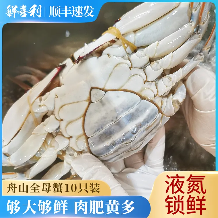 【10只装】母蟹正宗舟山梭子蟹4两左右3斤海鲜肉蟹【冻蟹】不可蒸煮