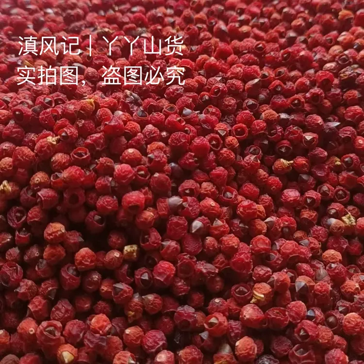 「红豆杉果干」正品云南高山红豆杉果精选无硫富含紫杉醇100克起