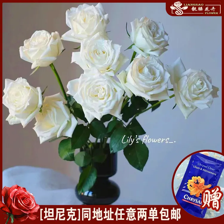 【两单包邮】坦尼克白玫瑰云南直发插花花卉鲜切花清新雅致