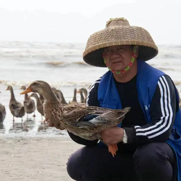 吴阳海边散养 湛江赶海鸭大黄鸭 正宗农家放养鲜美速冻运输锁鲜