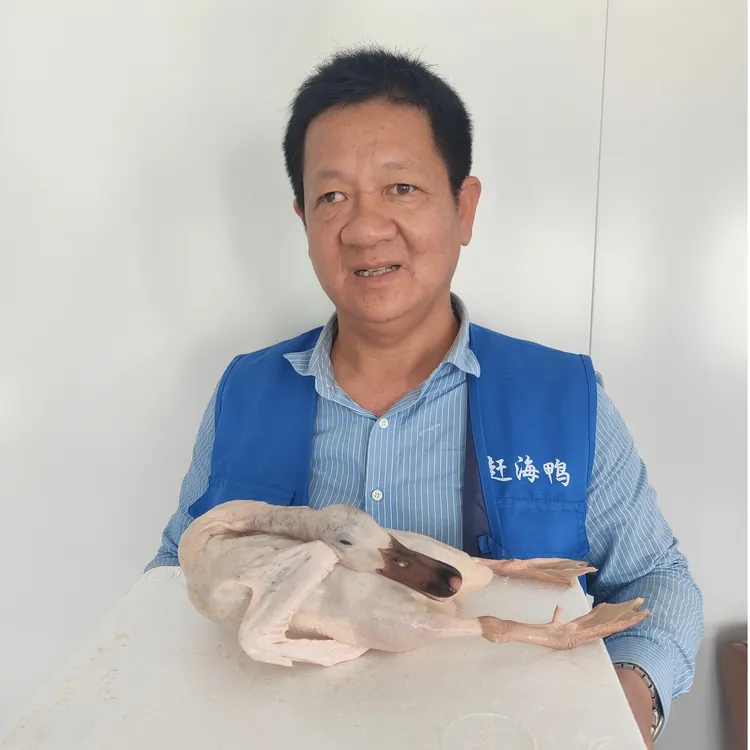 湛江吴川市沙角漩赶海鸭金边海鸭（杀好），海边放养活鸭2.5斤左右 