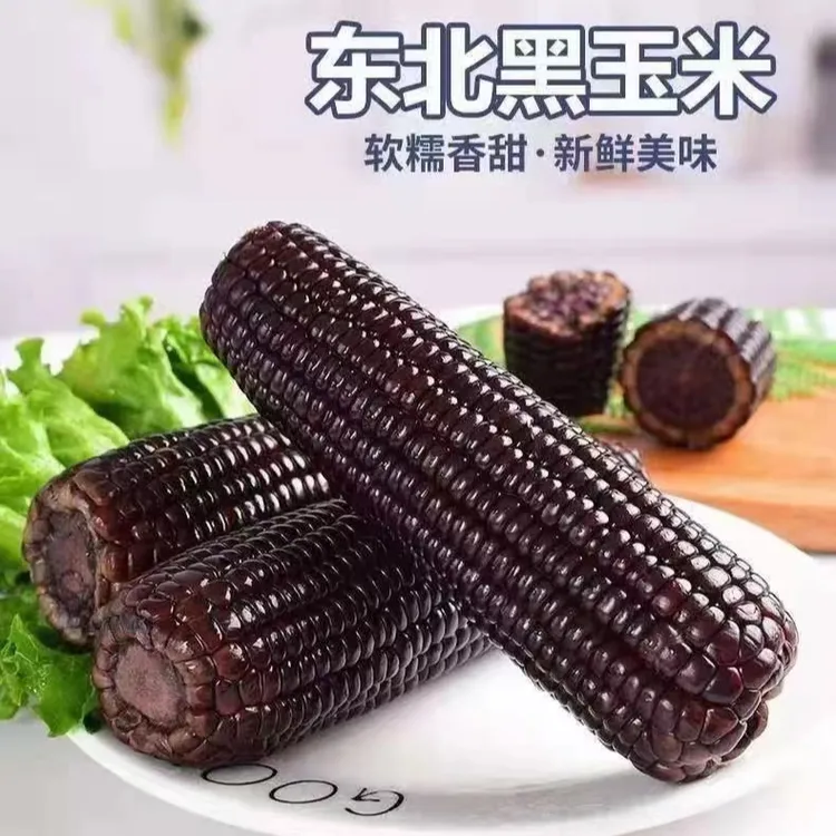【整箱7-7.5斤左右】黑糯玉米大棒(300-380g)拍10送2发12 试吃2支J