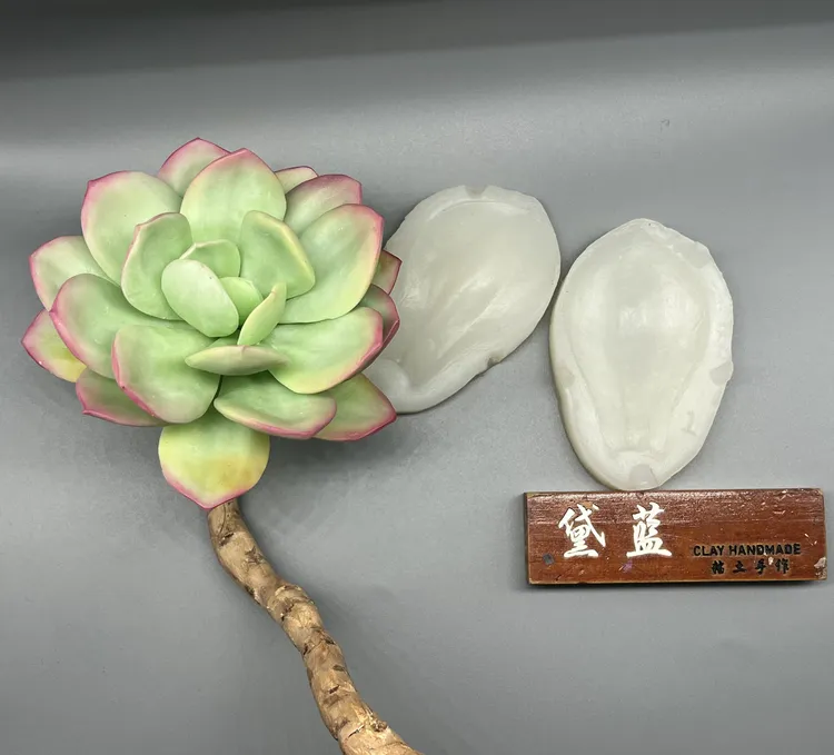 粘土多肉白凤模具