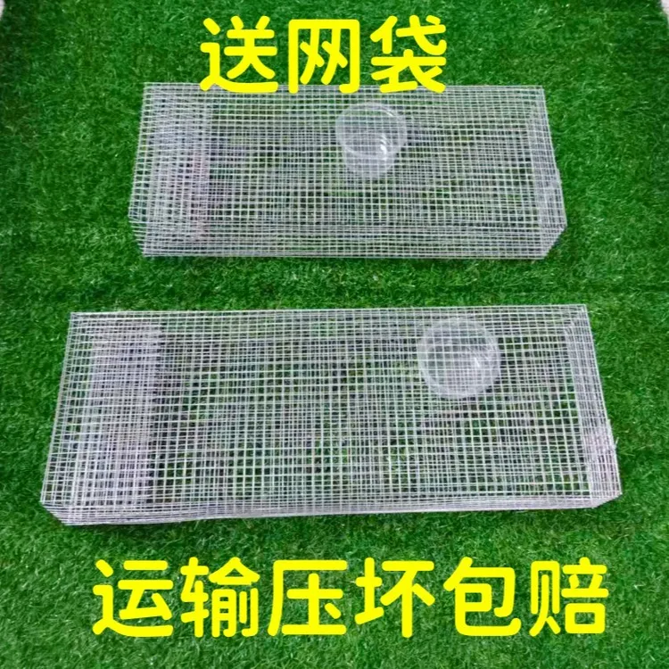 大号单双门蛇的笼子户外捕鼠笼捉蛇笼子养蛇笼子倒须装蛇铁丝笼