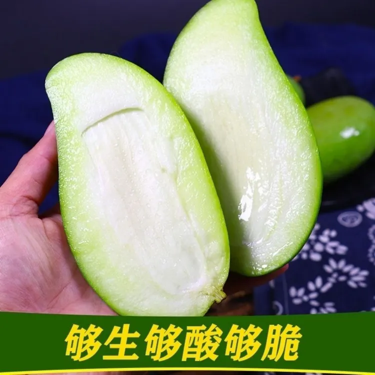 现摘生吃酸芒果5斤包邮新鲜孕妇水果酸脆四季芒广西象牙芒青芒果