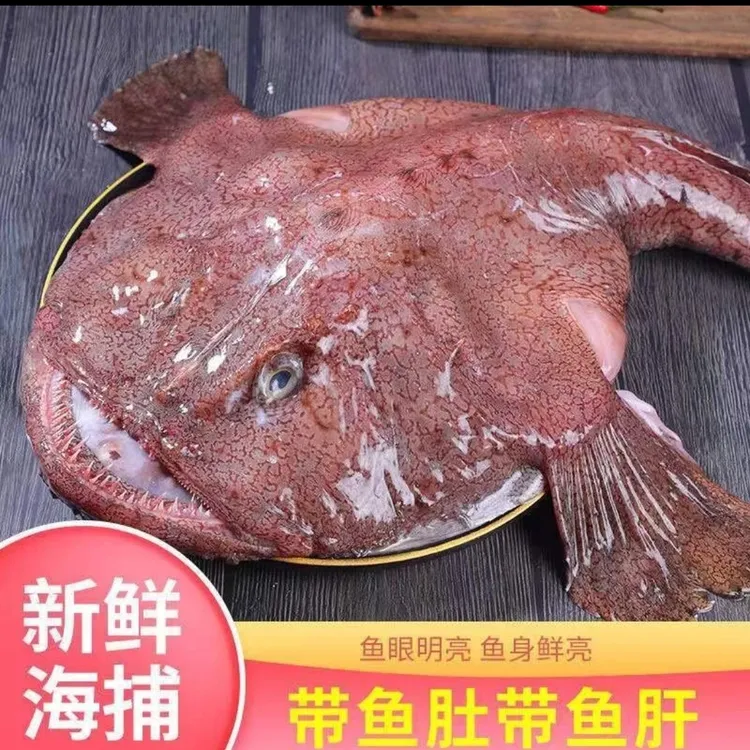 新鲜海捕速冻安康鱼 深海野生鮟鱇鱼(去内脏带肝肚发货) 冷链发货