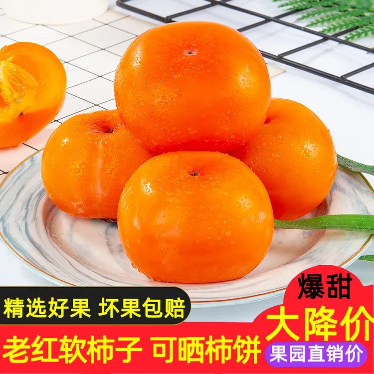软甜柿子柿子新鲜水果当季广西恭城红柿火晶密柿月柿可晒柿饼