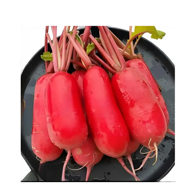 （顺丰包邮） 胭脂萝卜  红皮白心  可以做泡萝卜  高山生鲜