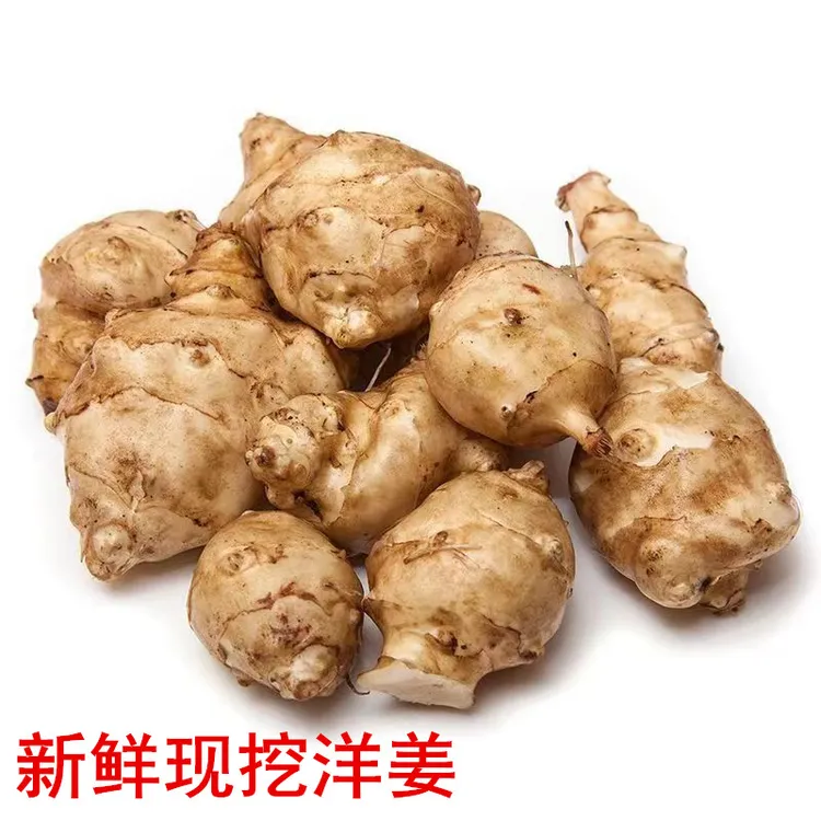 【首单立减】现挖食用洋姜自种姜菊芋不辣洋姜称重3斤5斤[坏果包赔]