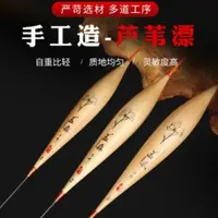 胡子鲤钓鱼盖森鲫鱼芦苇浮漂
