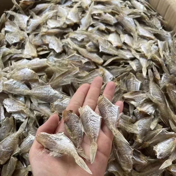 【顺丰快递】【甲子迪仔脯】甲子美食