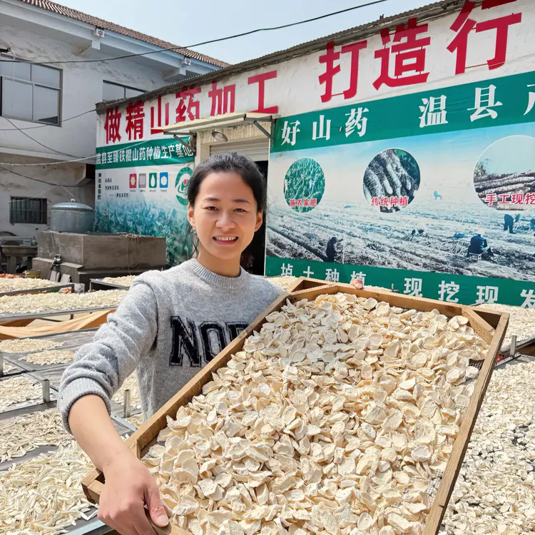 怀山药 温县垆土铁棍怀山药片自然晾晒人工挑拣煲汤熬粥煮水