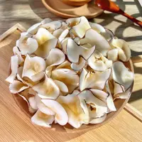  海底椰 椰香味浓郁【叻叻猪】