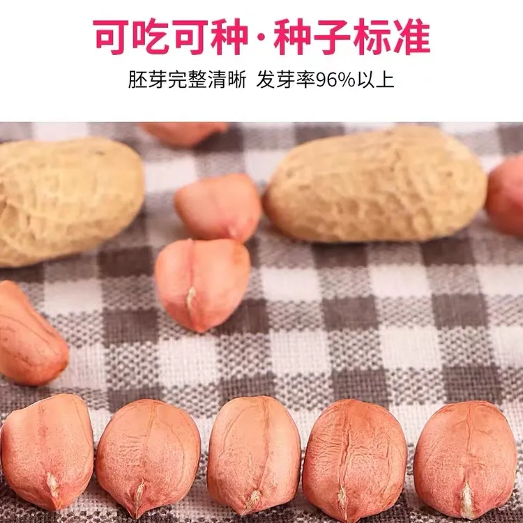 23年带壳生花生晒干原味花生种子级品质农家粉皮小粒白沙河南新鲜
