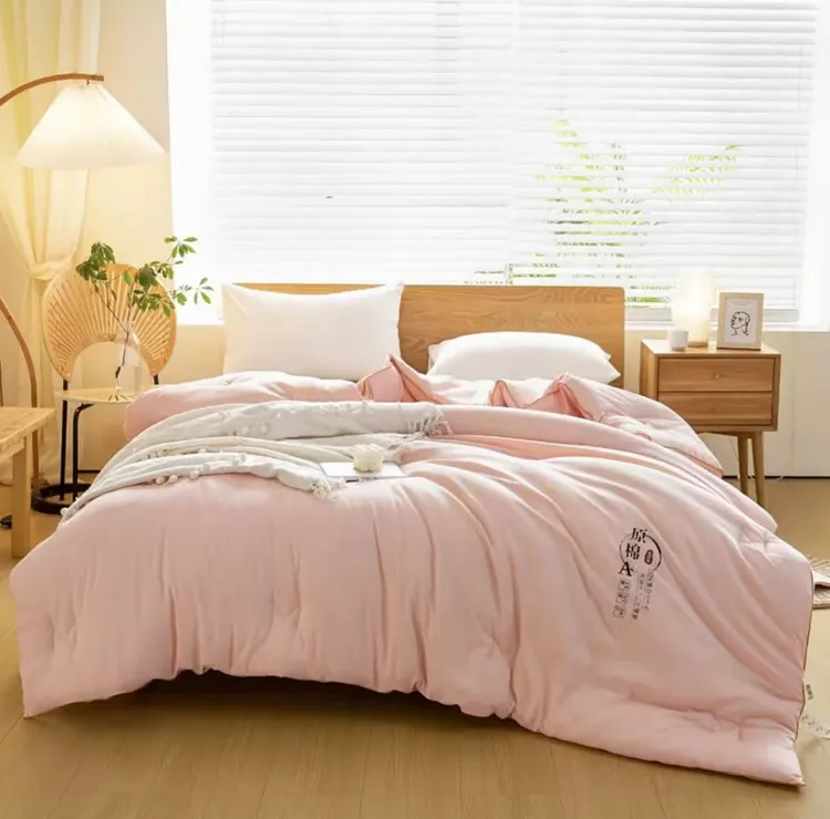 大豆被原棉大豆被（2.0*2.3米）