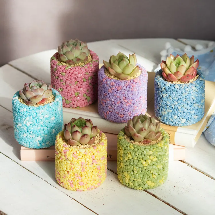 2个装6个装5×5厘米（内径×内高）彩色多肉花盆排水透气阳台简约时尚商品图