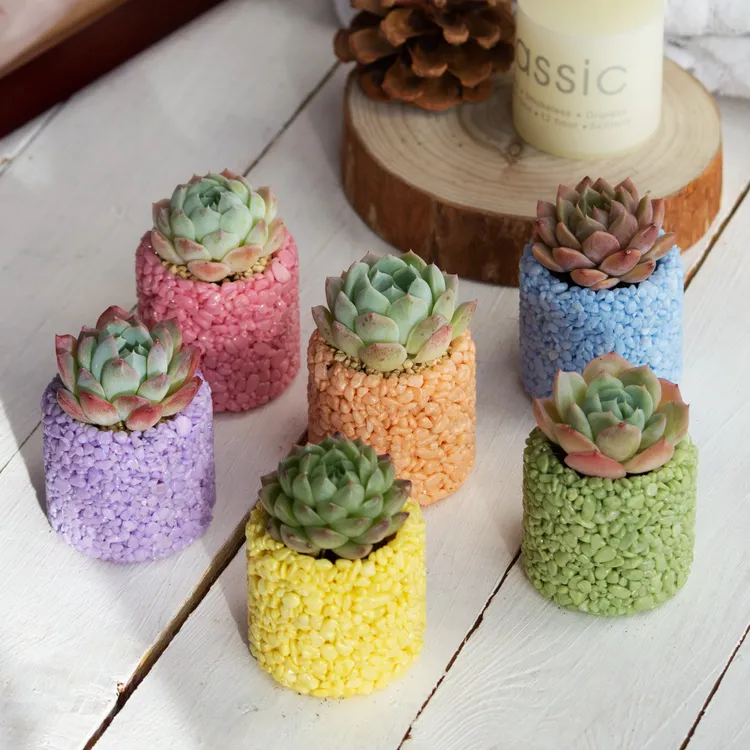 6个装马卡龙色多肉花盆迷你小盆拇指盆简约内直径3.5厘米透气时尚