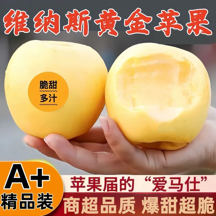正宗黄金维纳斯烟台栖霞苹果2024年脆甜脆甜多汁女神果礼盒装
