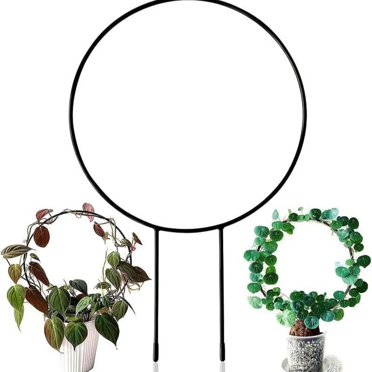 心形圆形园艺支架植物攀爬架爬藤支架山乌龟花架盆架支架包塑防锈