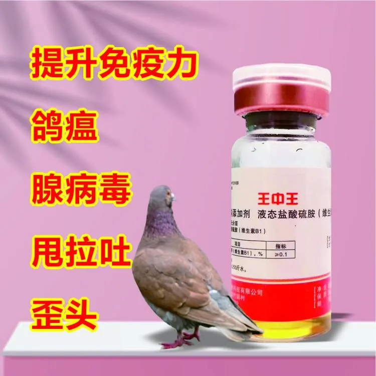 王中王饮水型：针对鸽子新城疫，流感，腺病毒，提高免疫力等
