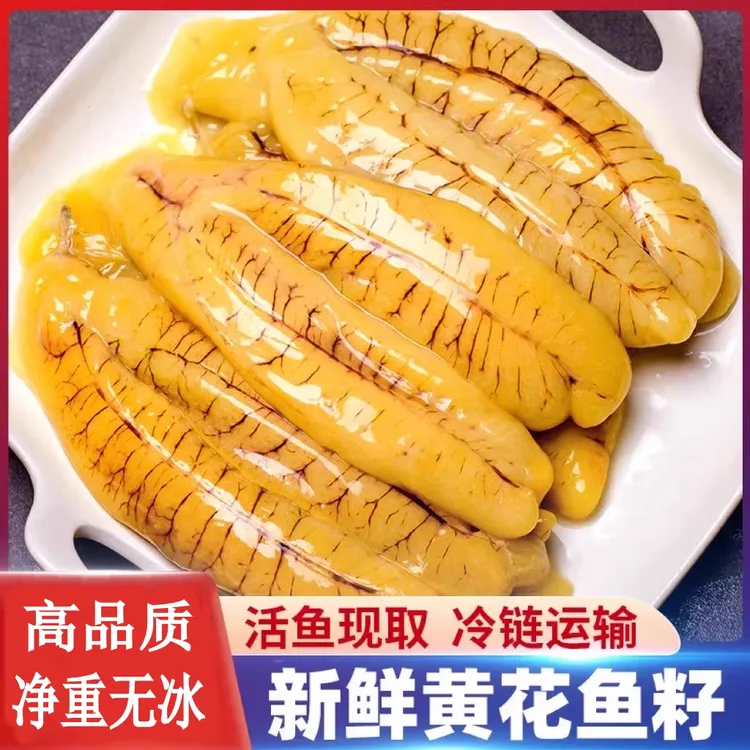 黄花深海海鲜鱼蛋大籽水产冷冻大黄鱼鲜活鱼卵鱼籽新鲜超大精选