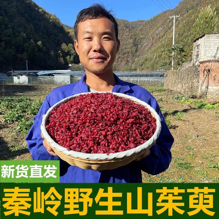 秦岭大山野生山茱萸无核野山萸肉去核枣皮山芋肉中药材泡水
