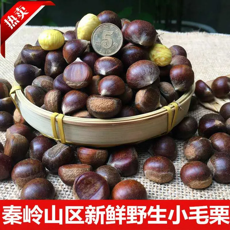 2025年秦岭新鲜野生小毛栗子新鲜小油栗小板栗生栗原味即食包邮