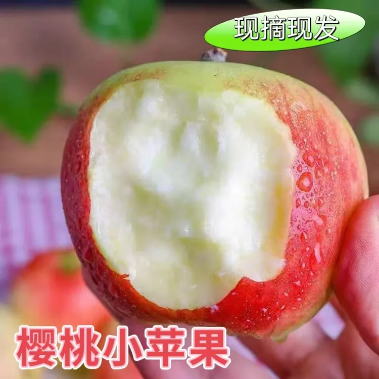 正宗高原樱桃小苹果 脆甜多汁酸甜可口当季新鲜水果