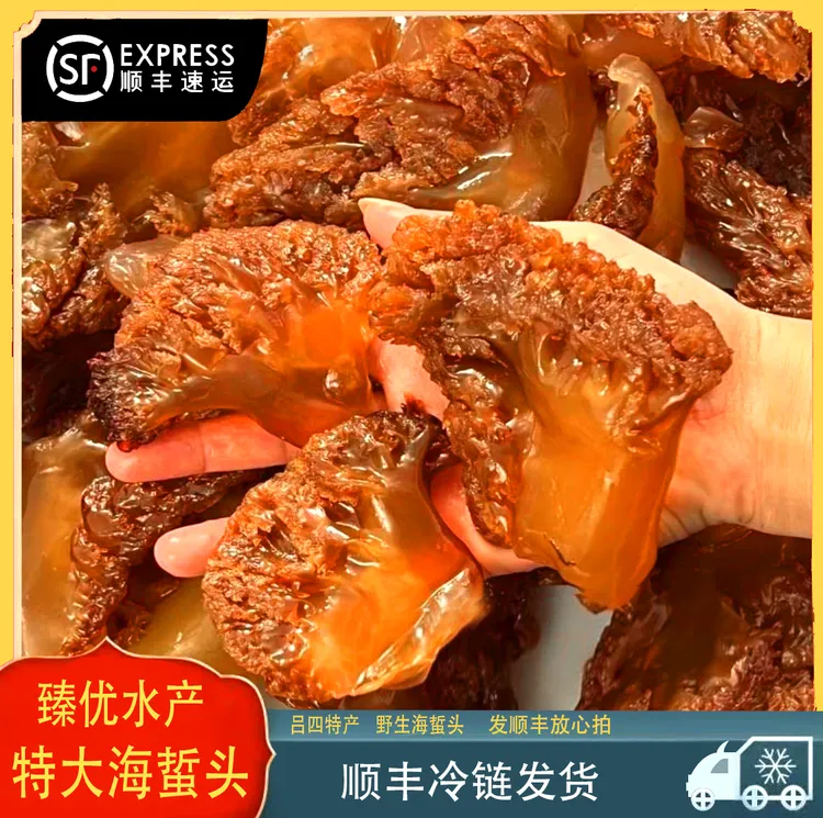 【野生特大海蜇头】吕四本港正宗野生海蜇头爽脆海蜇凉拌菜营养美味
