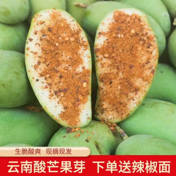 云南酸芒果酸脆青芒果特产象牙芒四季芒新鲜生吃酸爽可口送辣椒面