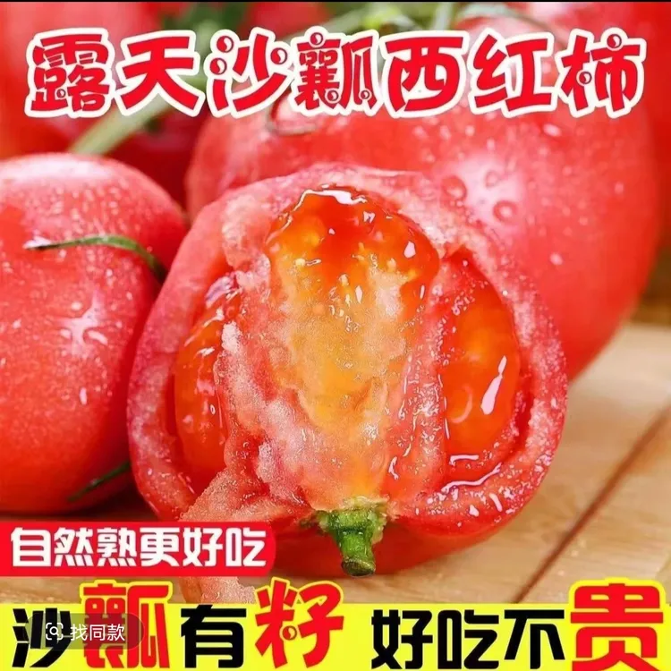 露天农家大西红柿小番茄孕妇水果新鲜蔬菜自然熟新鲜现摘酸甜多汁