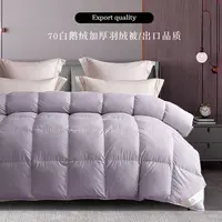 【出口尾单清货】白鹅绒加厚冬被超柔静音舒适高档保暖羽绒被鹅绒被