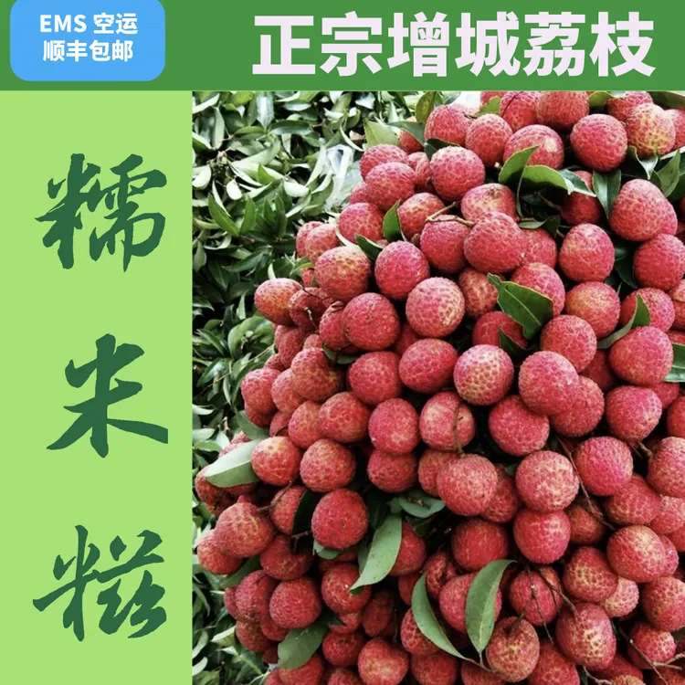 【顺丰空运包邮】广东增城糯米糍荔枝大香甜多汁3/5/9斤现摘荔枝