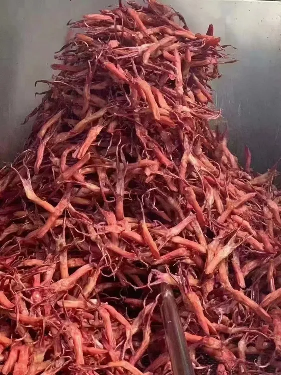 温州爆款修文大号生鸭舌500克蒸15分钟左右即食