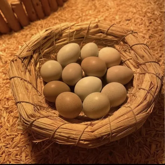 高品质芦丁鸡蛋 包邮包损