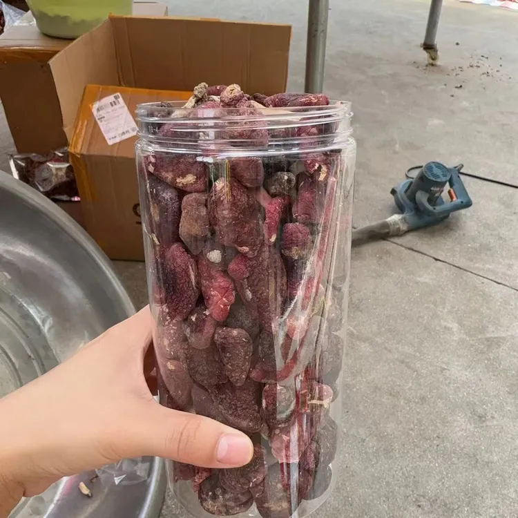 国庆预热 大菇蕾炖汤 河南野生红菇煮汤200g