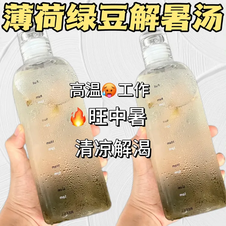 【消暑茶】广式凉茶薄荷藿香菊花绿豆清凉茶适合三伏天喝的夏季解渴