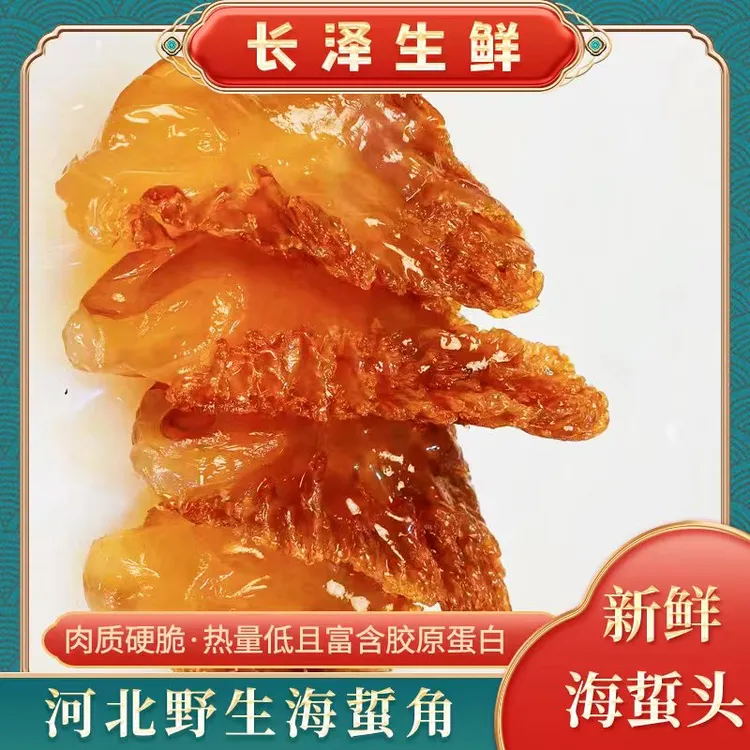 野生渤海海蜇特大角盐渍海蜇硬脆