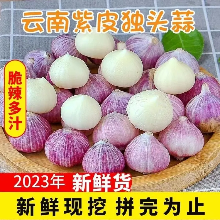 【新店半价】独蒜紫皮独头蒜新鲜独蒜大蒜头干蒜头0.5/2/3/5斤包邮