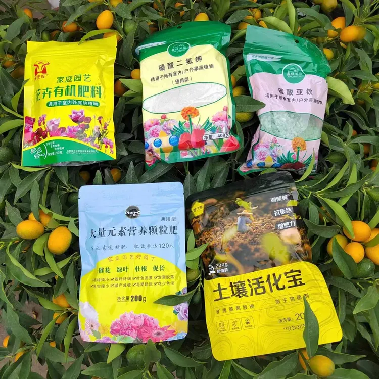 柠檬黄叶用基地使用同款肥料发财树天堂鸟散尾葵绿色植物绿植花卉