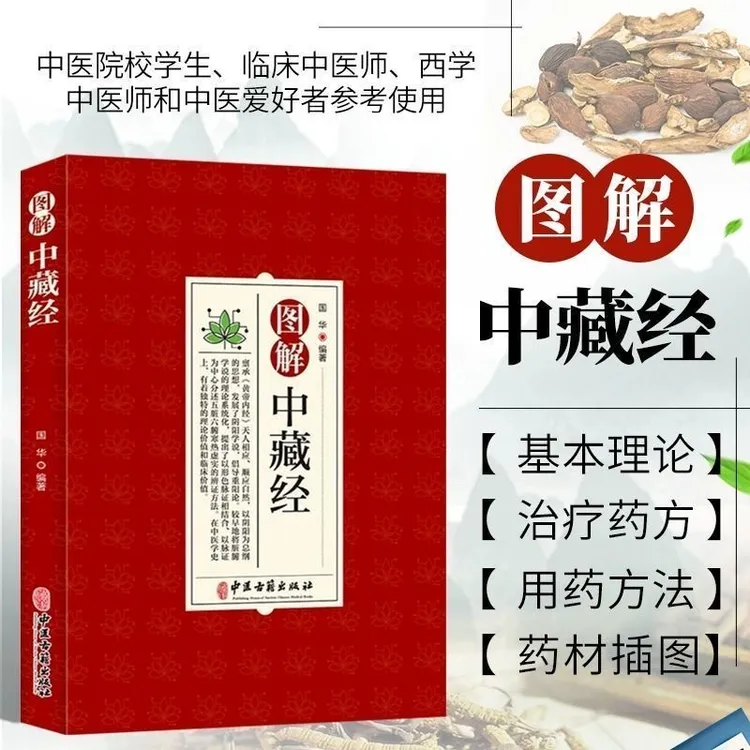 乐品学图解中藏经彩图清嘉庆平津馆本底本养生理论中国传统文化
