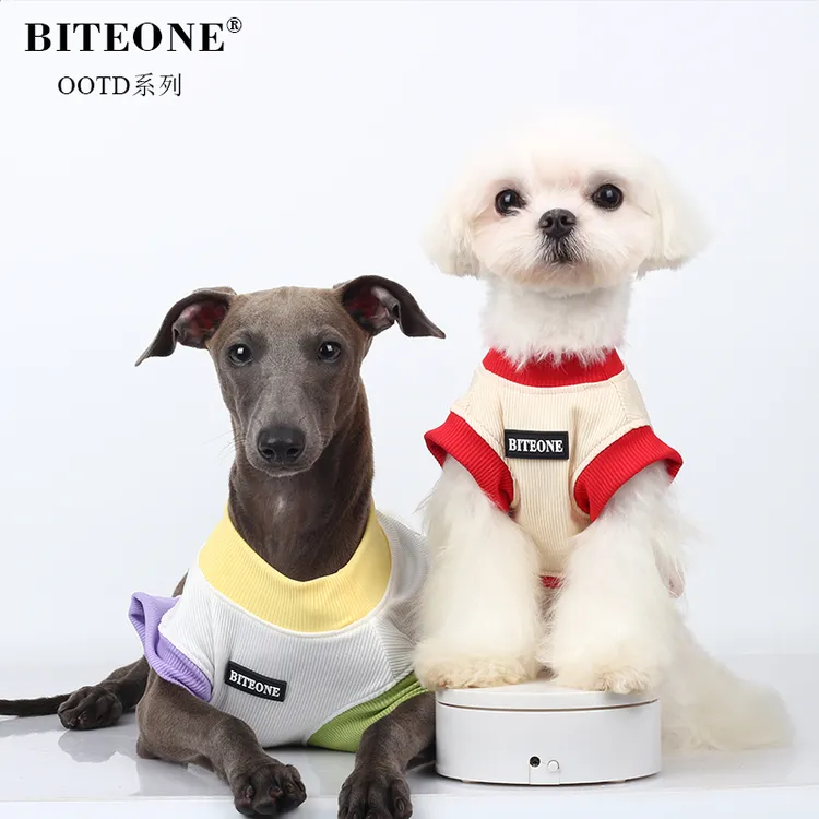 BITEONE【夏日汽水】猫咪狗狗春夏新品儿童节狗狗礼物