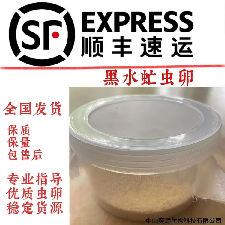 【教学】黑水虻蛋白虫专业技术教学,一对一老师终身陪跑(赠虫卵)