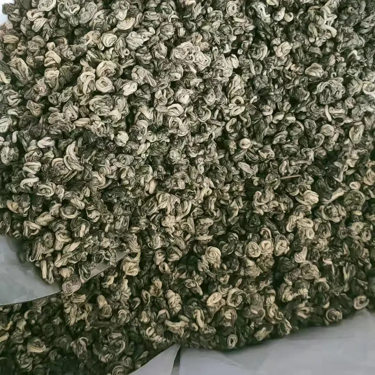 【张哥推荐】云南绿茶大叶种一芽一叶碧螺春头绿茶